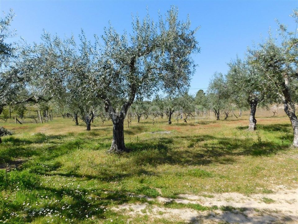 Herregård i Fundao, Castelo Branco - bilde 3