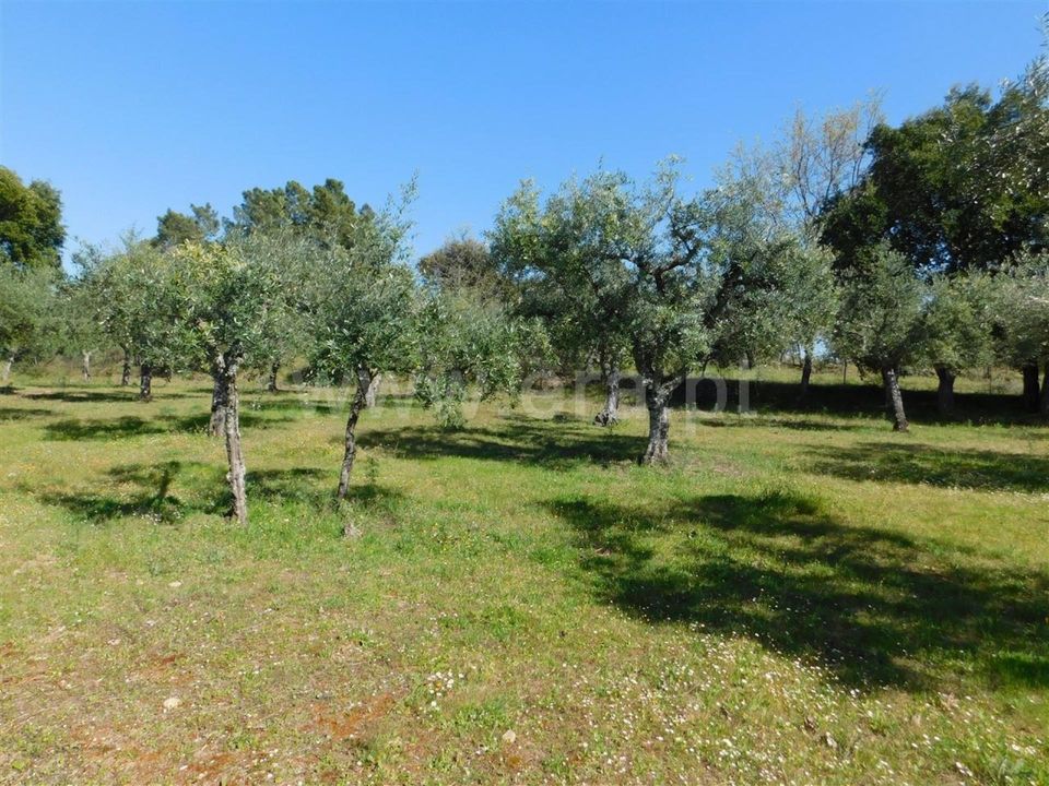 Herregård i Fundao, Castelo Branco - bilde 5