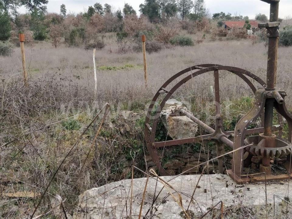 Tomt i Fundao, Castelo Branco - bilde 2