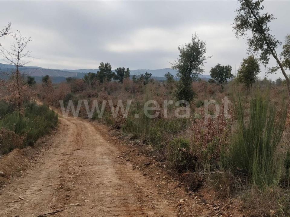 Tomt i Fundao, Castelo Branco - bilde 4