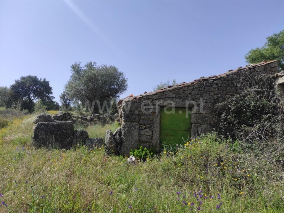 Tomt i Fundao, Castelo Branco - bilde 2