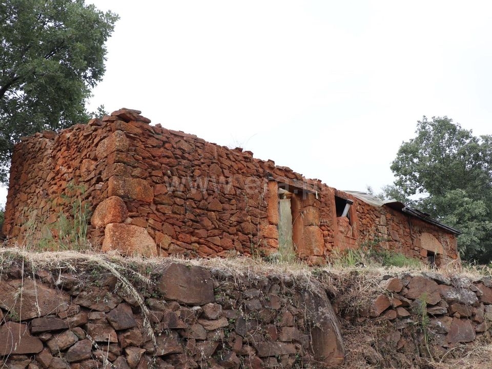Farm i Fundao, Castelo Branco - foto 1
