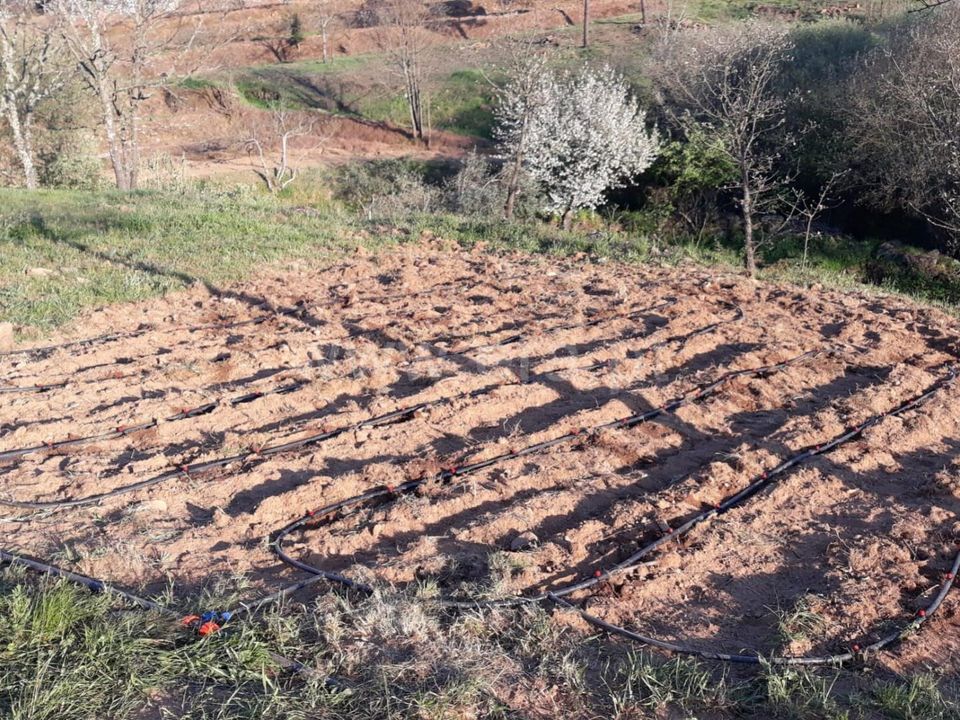 Farm i Fundao, Castelo Branco - foto 2
