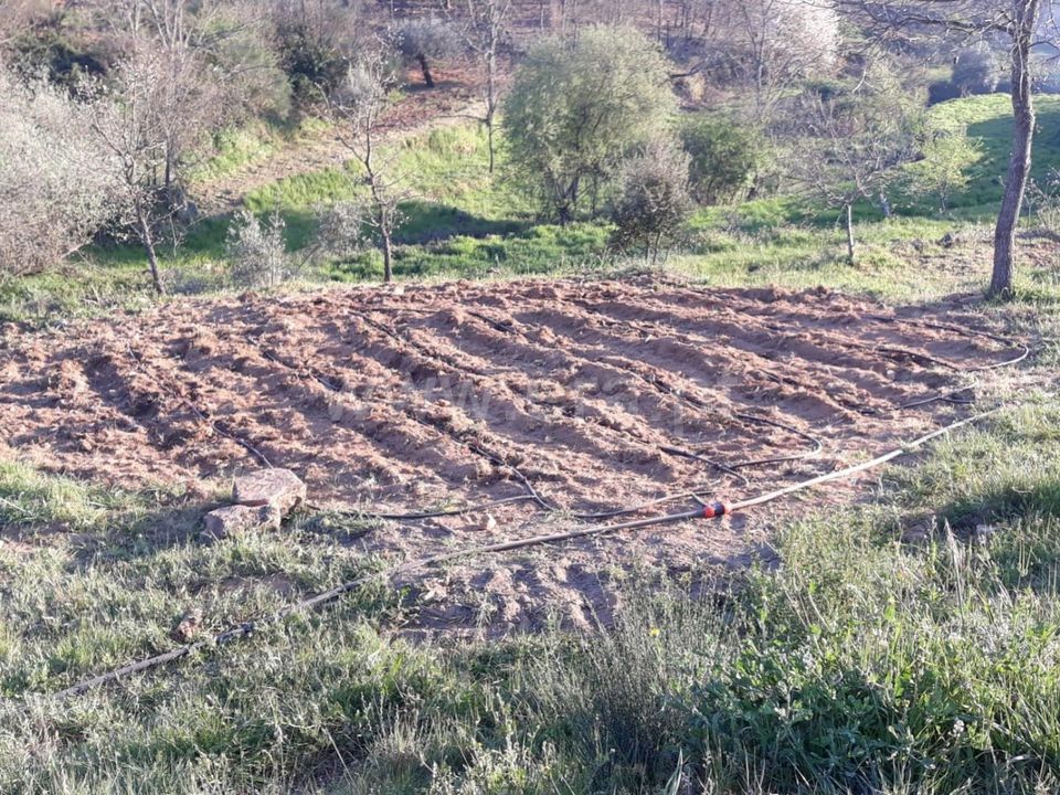 Farm i Fundao, Castelo Branco - foto 3