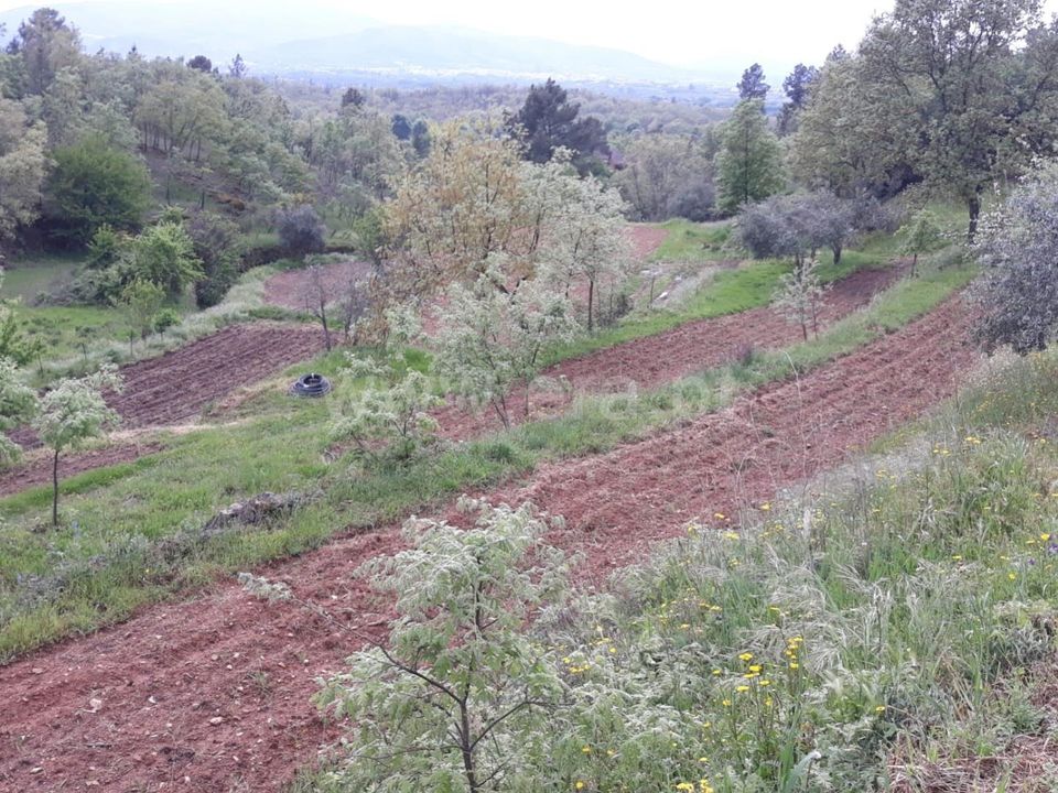 Farm i Fundao, Castelo Branco - foto 4