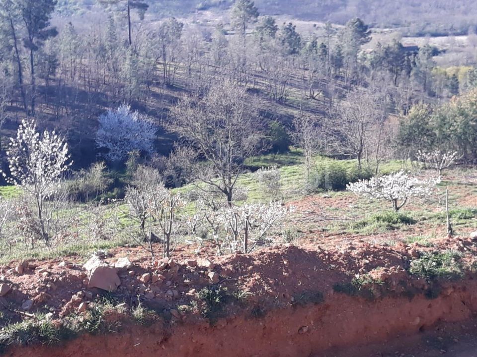 Farm i Fundao, Castelo Branco - foto 5