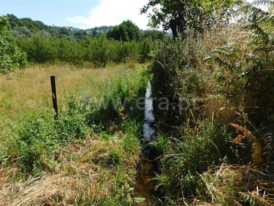 Helårsgrund i Fundao, Castelo Branco - foto 5