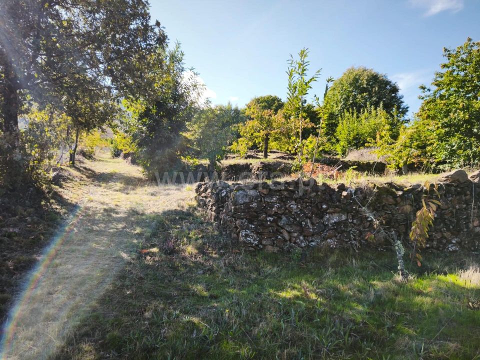 Helårsgrund i Fundao, Castelo Branco - foto 1