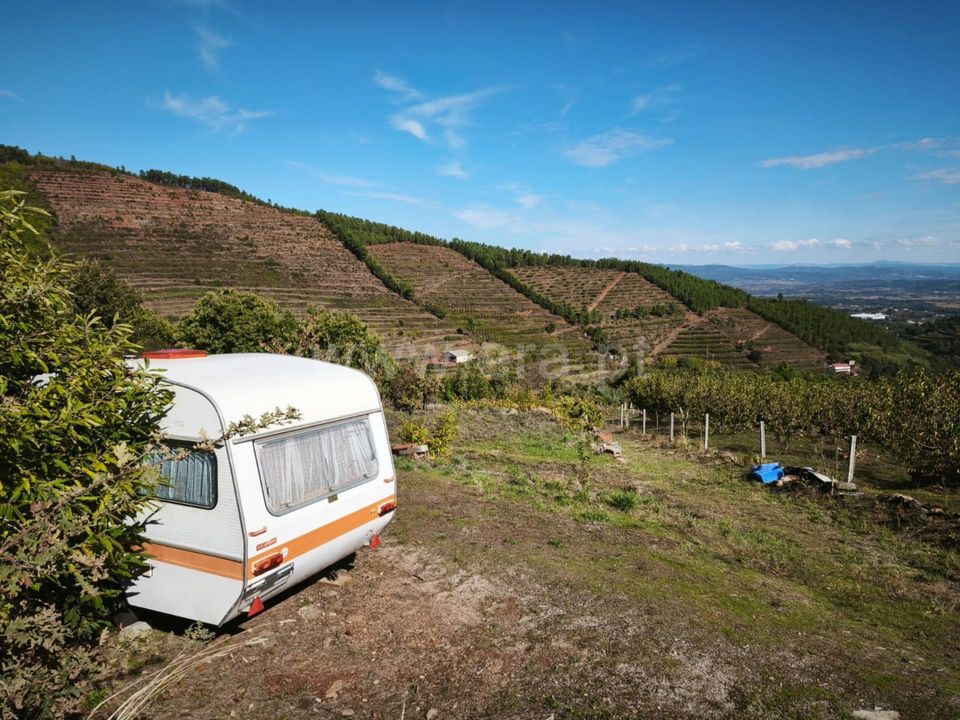 Helårsgrund i Fundao, Castelo Branco - foto 2