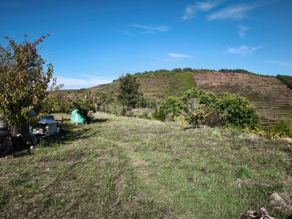 Helårsgrund i Fundao, Castelo Branco - foto 4