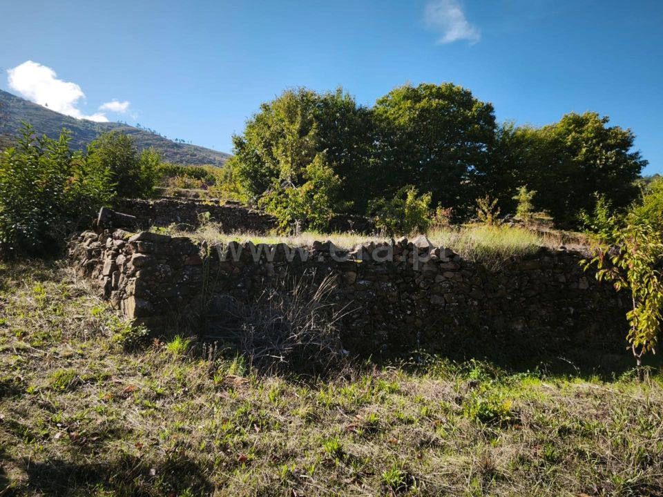 Helårsgrund i Fundao, Castelo Branco - foto 5