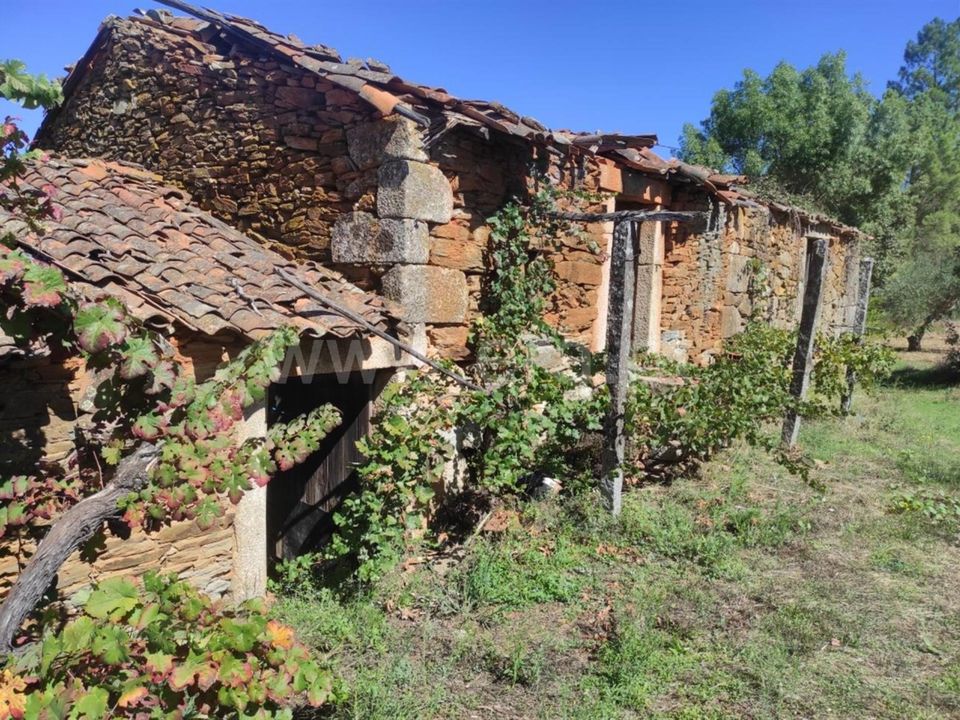 Farm i Fundao, Castelo Branco - foto 1