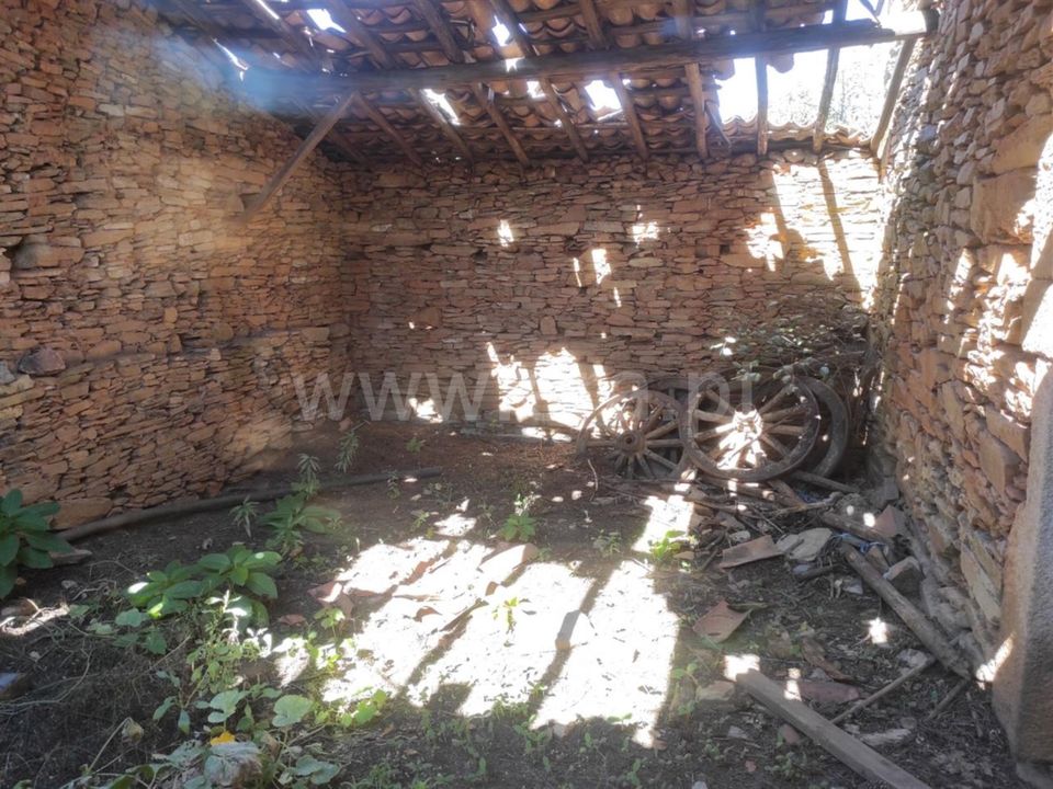 Farm i Fundao, Castelo Branco - foto 3