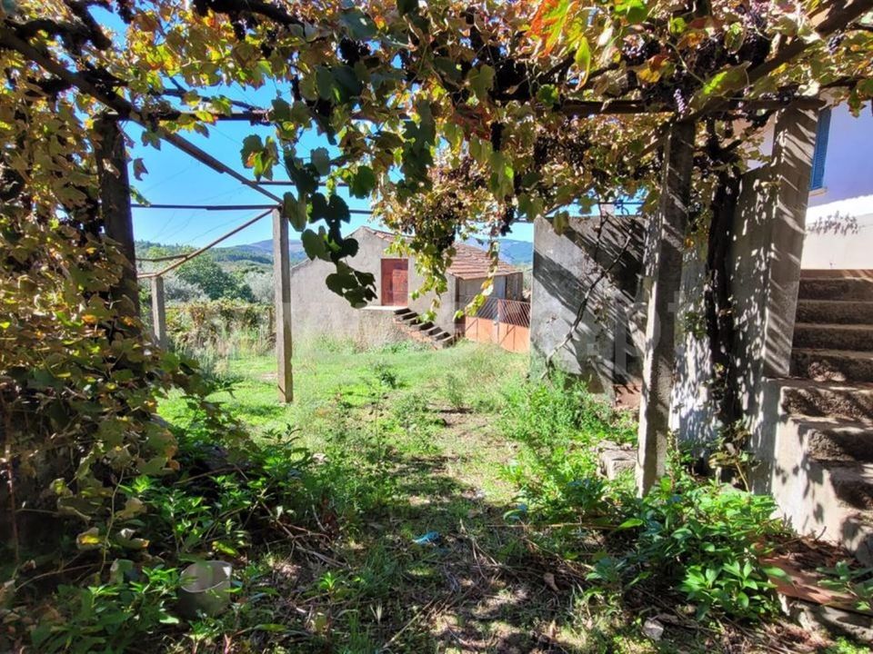 Farm i Fundao, Castelo Branco - foto 3