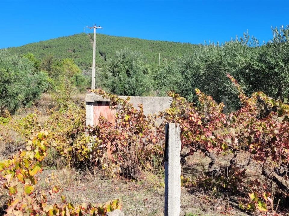 Helårsgrund i Fundao, Castelo Branco - foto 1