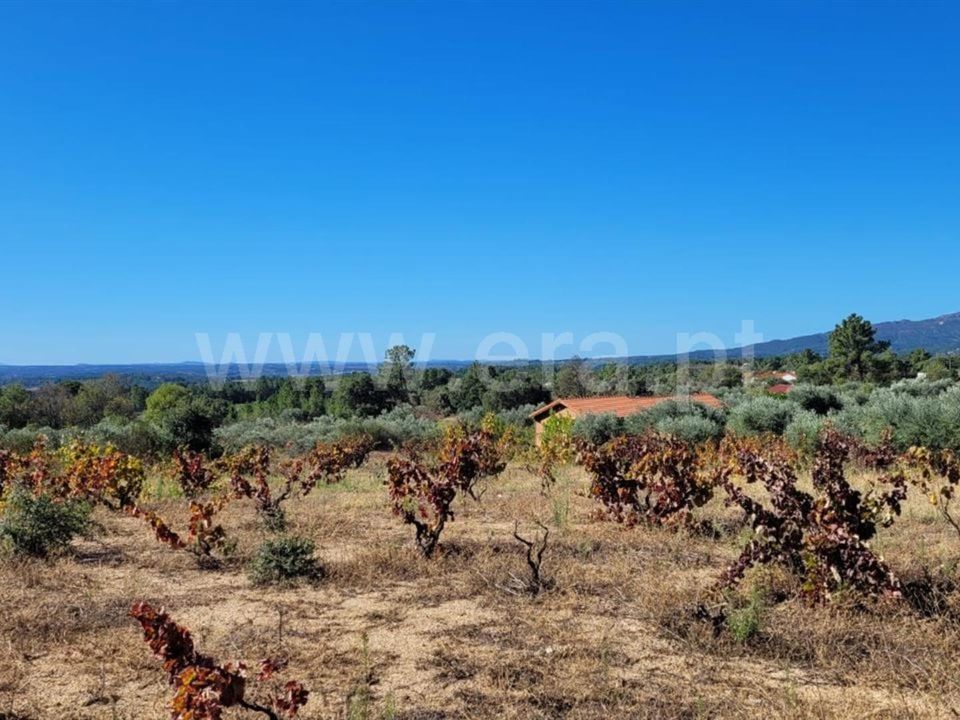 Helårsgrund i Fundao, Castelo Branco - foto 4