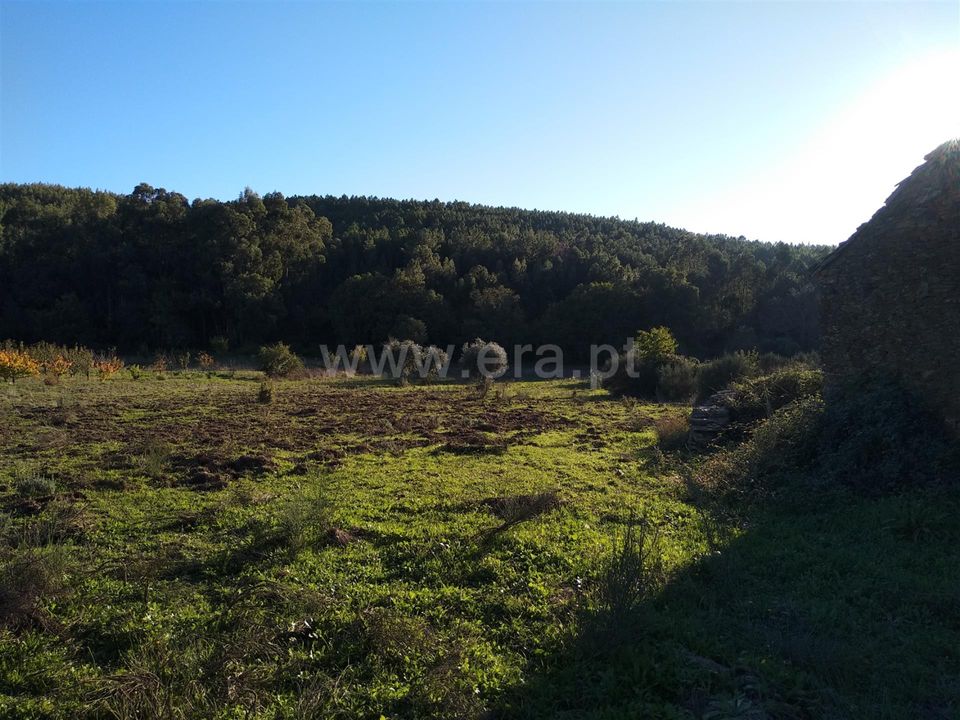 Helårsgrund i Fundao, Castelo Branco - foto 1