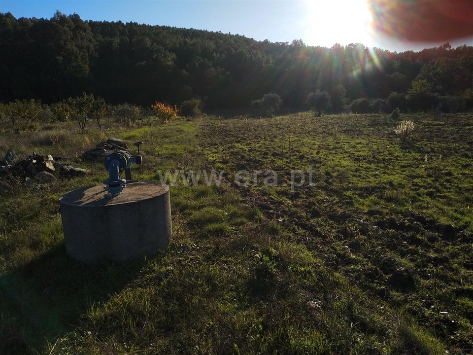 Helårsgrund i Fundao, Castelo Branco - foto 3