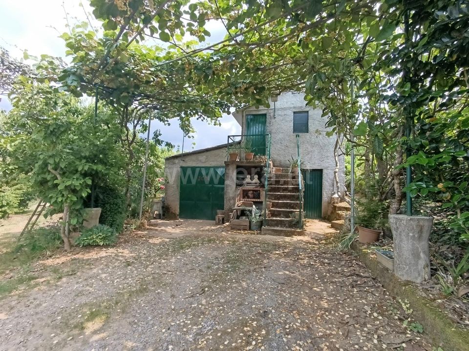 Gård i Fundao, Castelo Branco - bilde 1