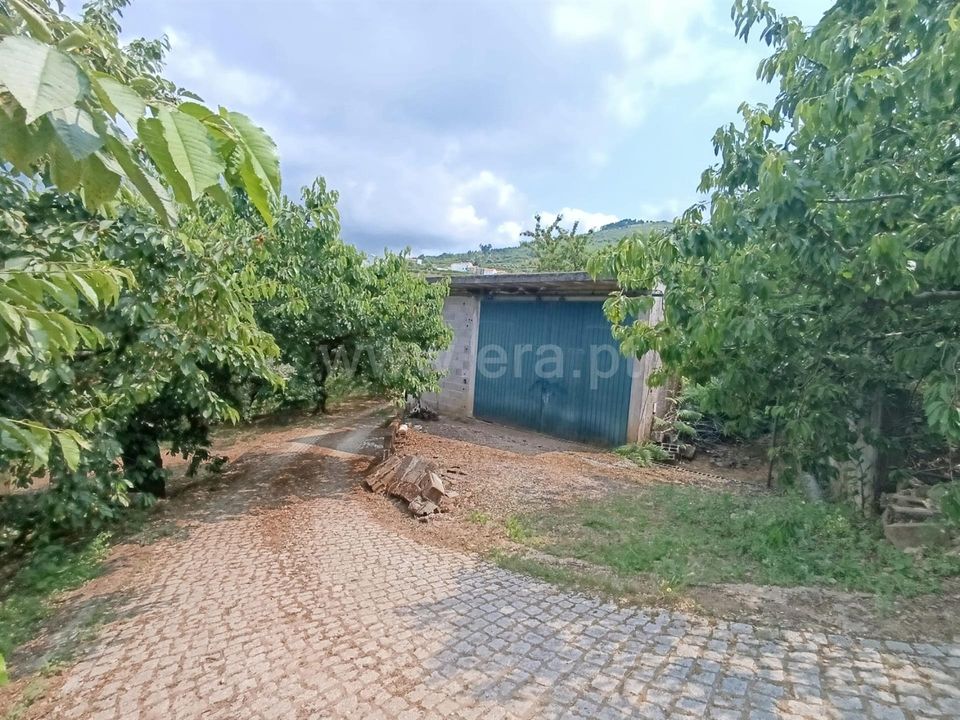 Gård i Fundao, Castelo Branco - bilde 2