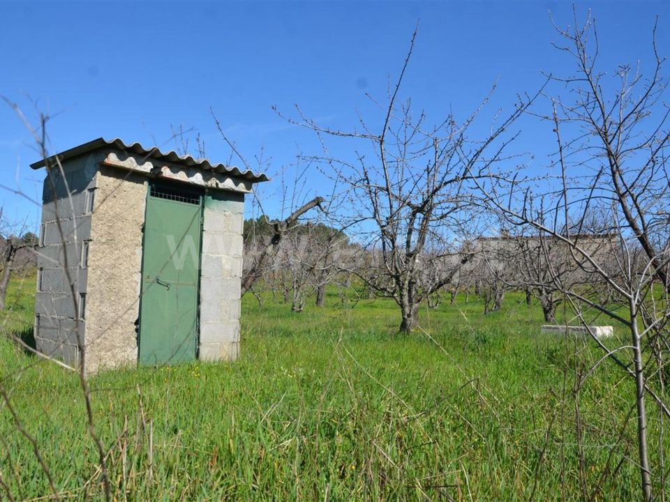 Tomt i Fundao, Castelo Branco - bilde 5
