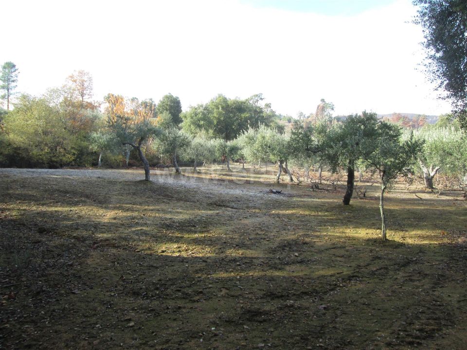 Helårsgrund i Fundao, Castelo Branco - foto 1