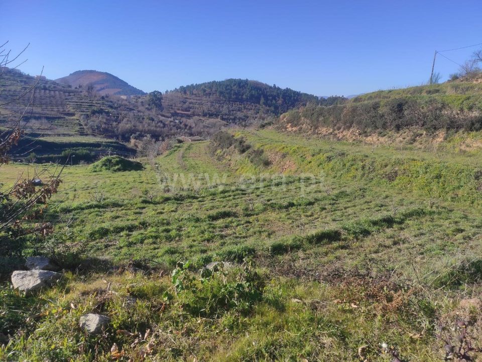 Helårsgrund i Fundao, Castelo Branco - foto 3