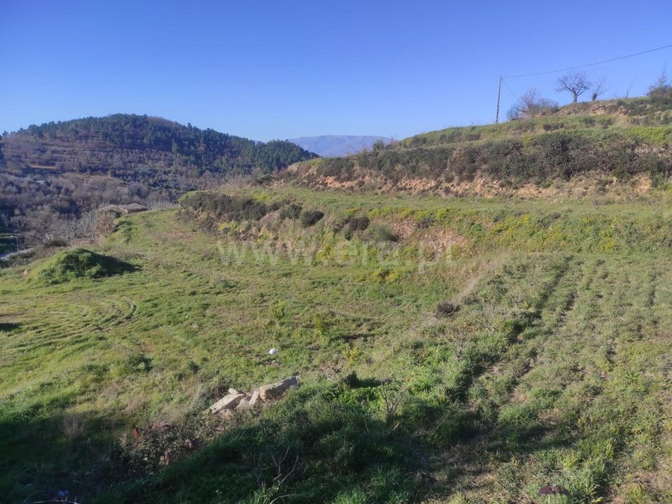 Helårsgrund i Fundao, Castelo Branco - foto 4
