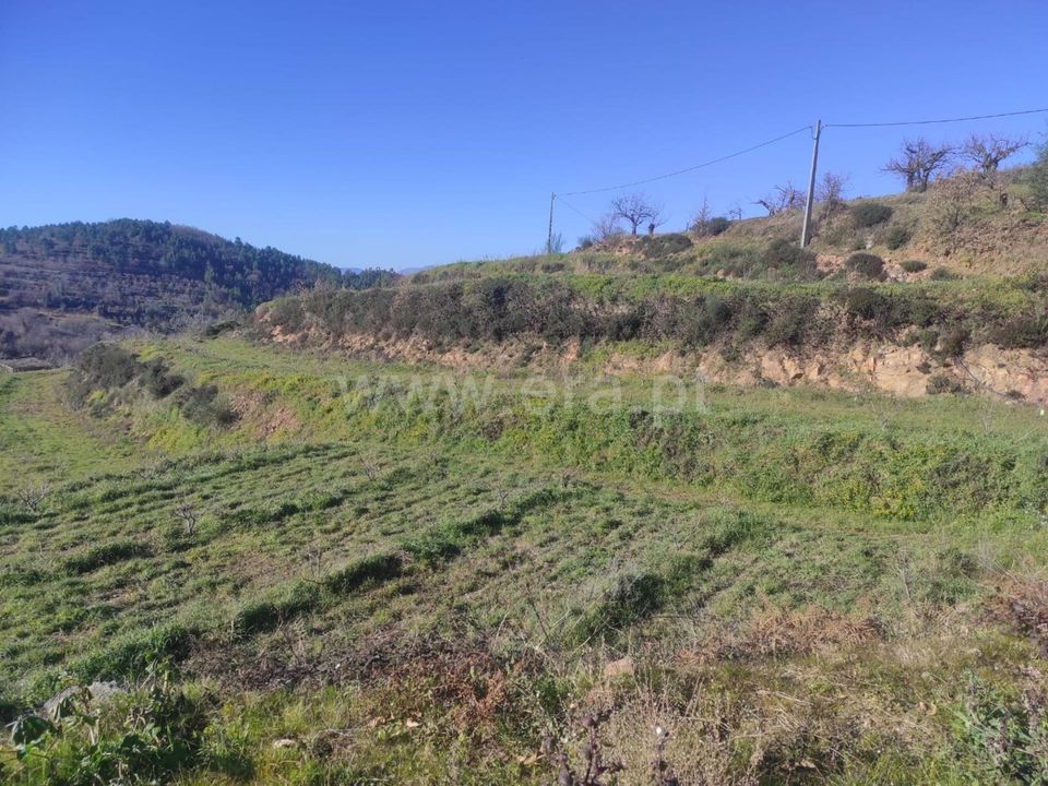 Helårsgrund i Fundao, Castelo Branco - foto 5