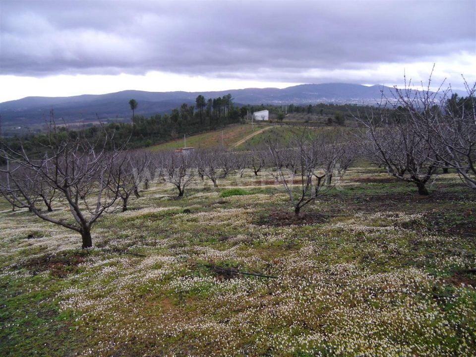 Helårsgrund i Fundao, Castelo Branco - foto 1