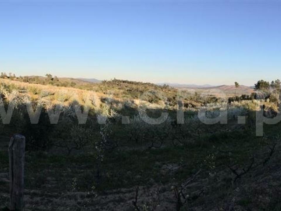 Helårsgrund i Fundao, Castelo Branco - foto 3
