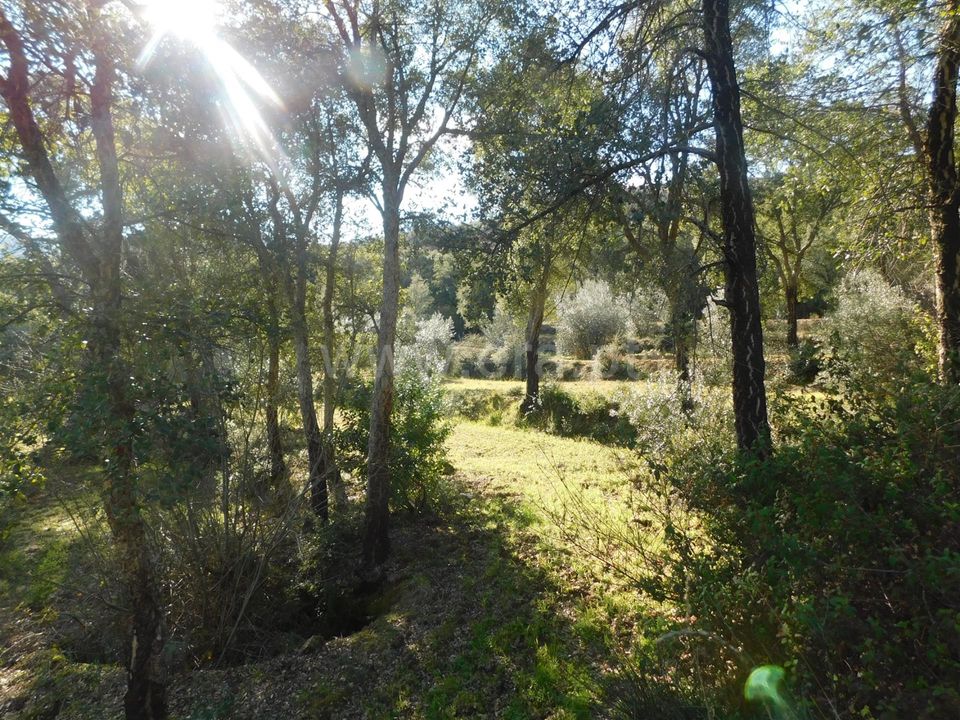 Helårsgrund i Fundao, Castelo Branco - foto 1