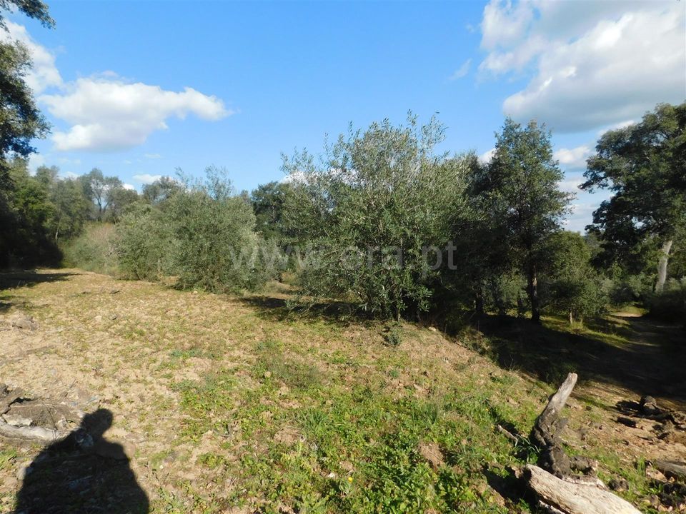 Helårsgrund i Fundao, Castelo Branco - foto 2