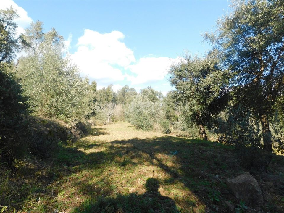 Helårsgrund i Fundao, Castelo Branco - foto 3