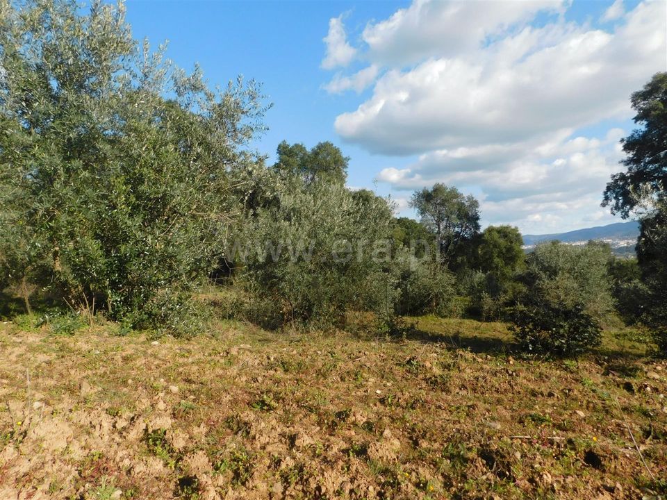 Helårsgrund i Fundao, Castelo Branco - foto 5