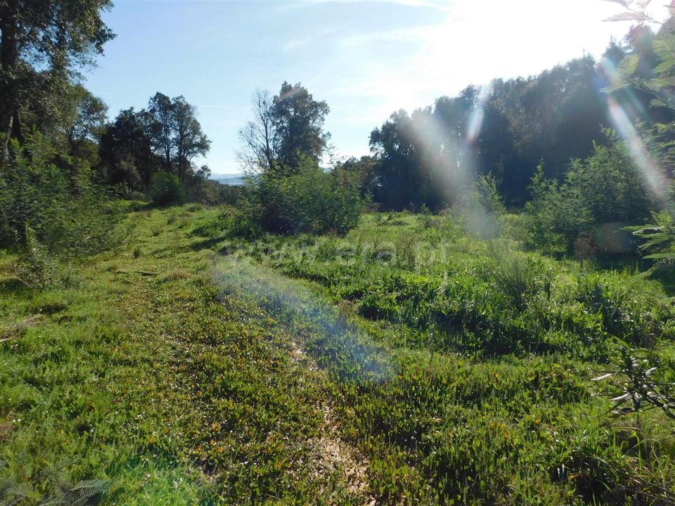 Helårsgrund i Fundao, Castelo Branco - foto 1