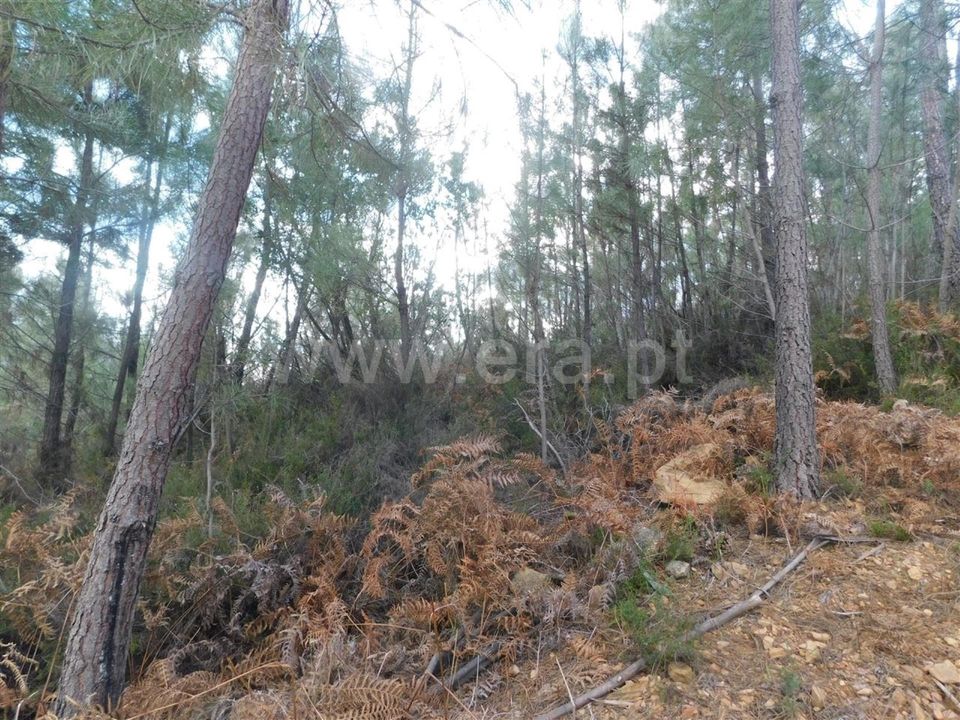 Helårsgrund i Fundao, Castelo Branco - foto 4