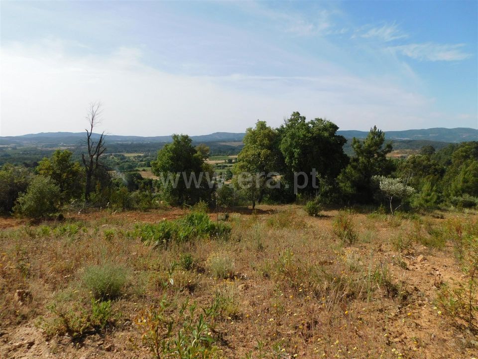 Helårsgrund i Fundao, Castelo Branco - foto 1
