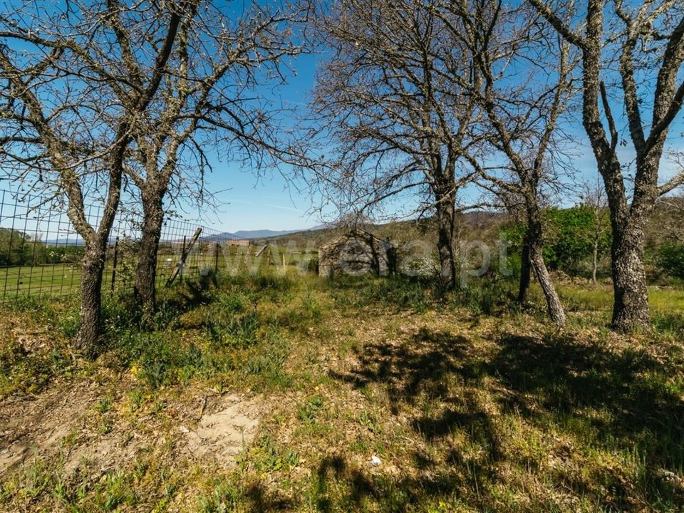 Helårsgrund i Fundao, Castelo Branco - foto 2