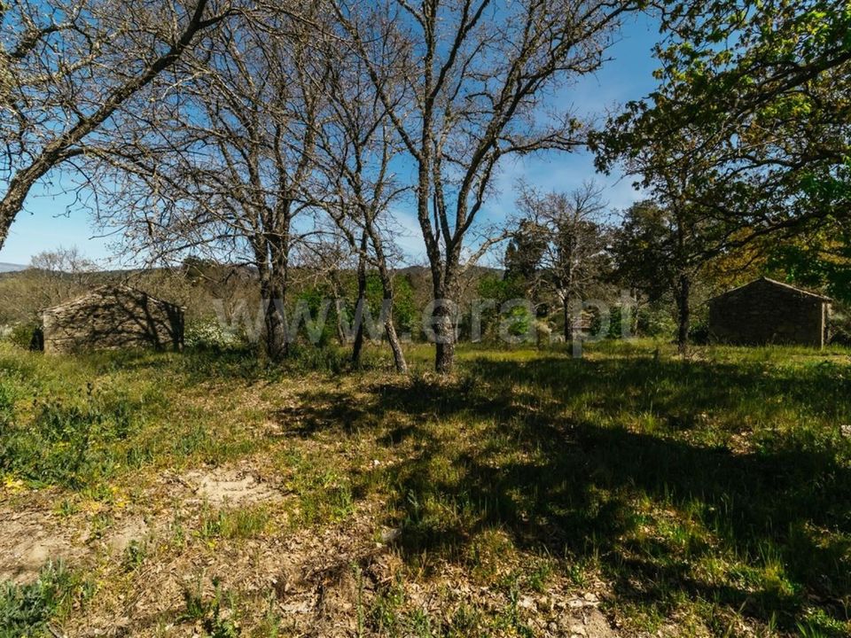 Helårsgrund i Fundao, Castelo Branco - foto 3