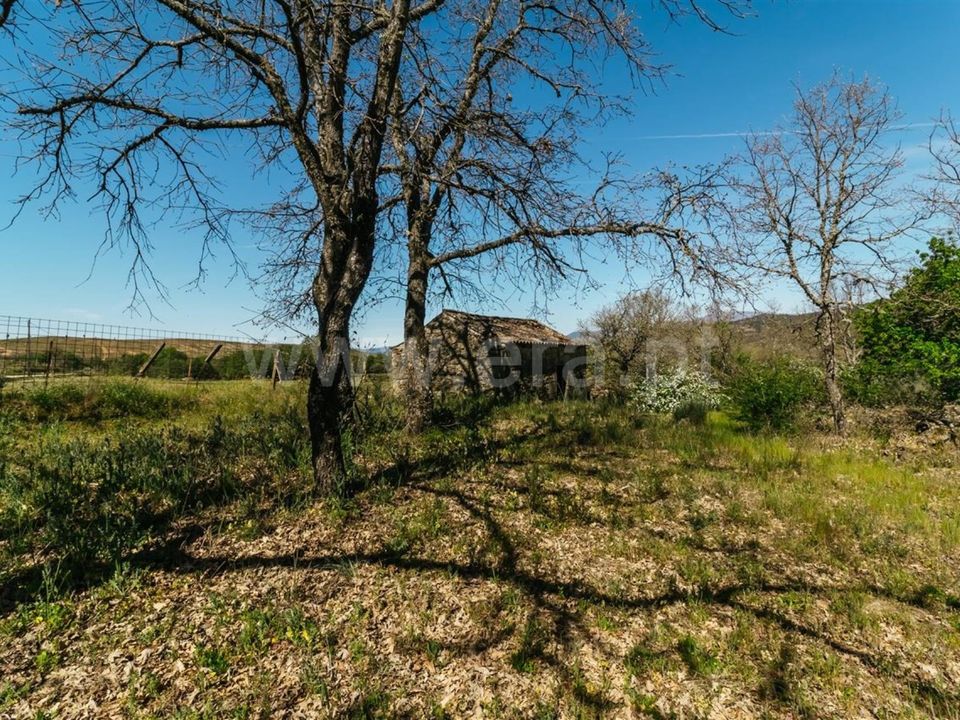 Helårsgrund i Fundao, Castelo Branco - foto 4