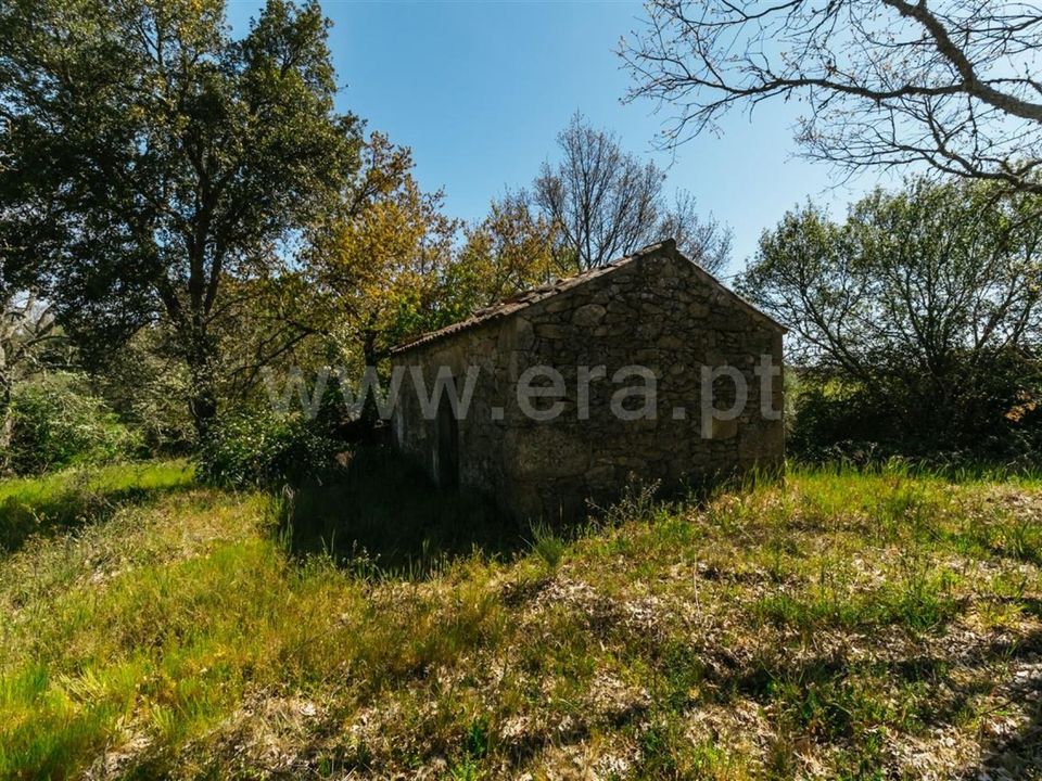 Helårsgrund i Fundao, Castelo Branco - foto 5