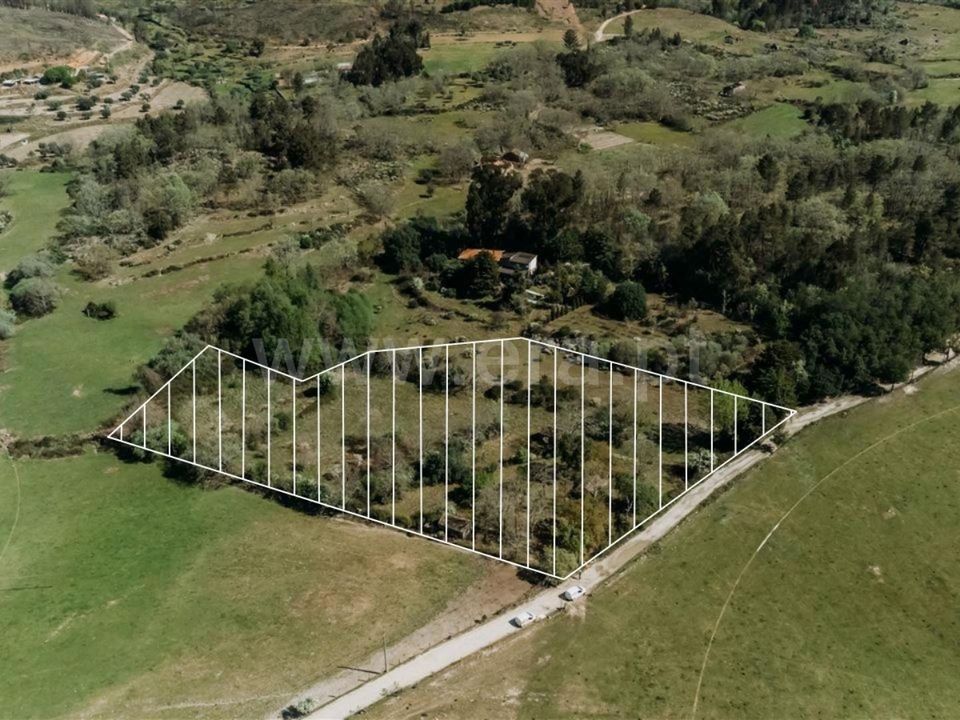 Helårsgrund i Fundao, Castelo Branco - foto 1