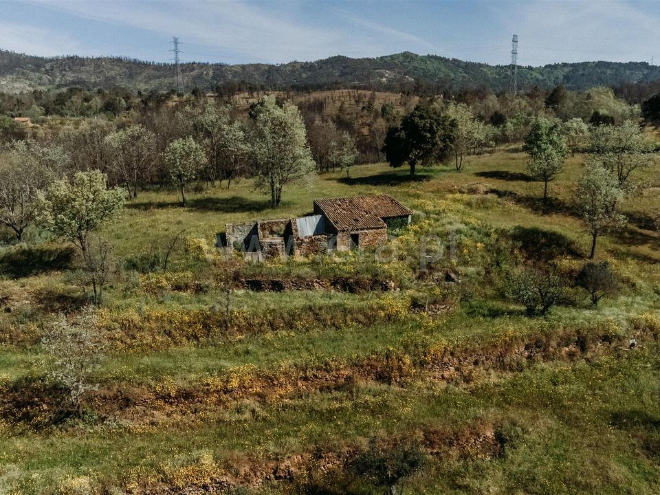 Tomt i Fundao, Castelo Branco - bilde 1