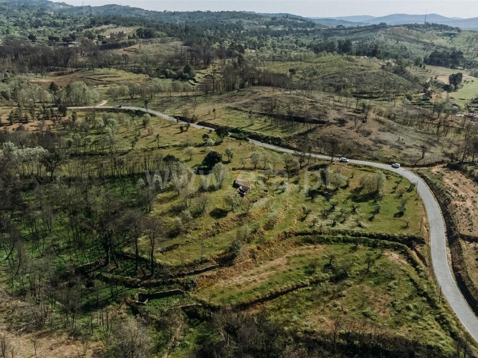 Tomt i Fundao, Castelo Branco - bilde 3
