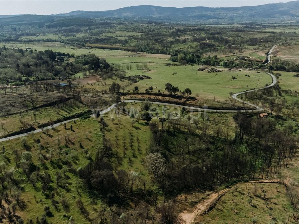 Tomt i Fundao, Castelo Branco - bilde 5