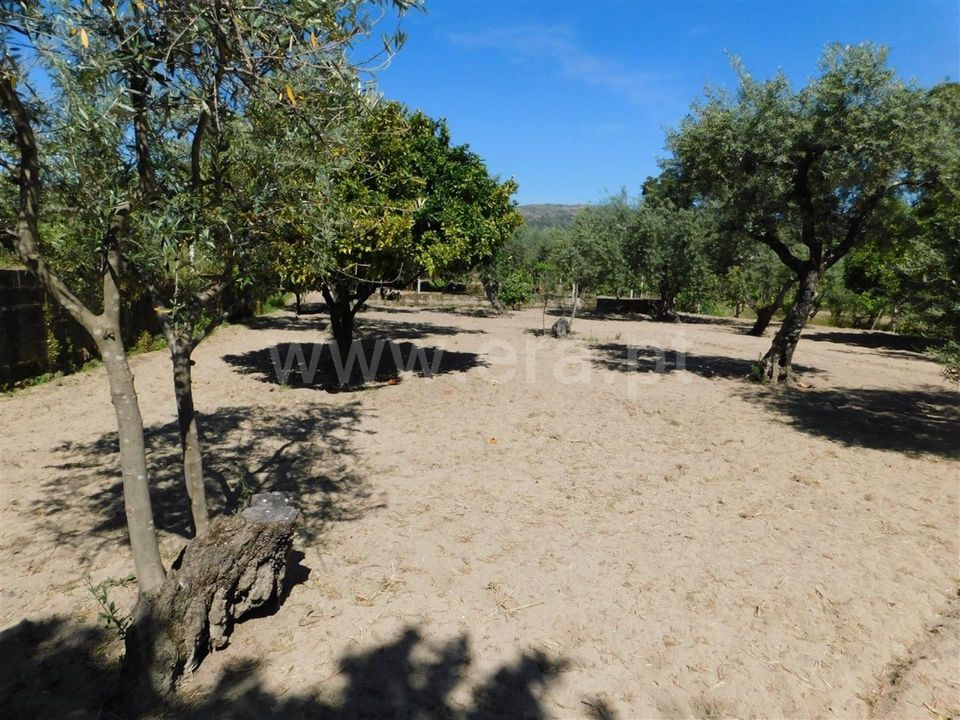 Tomt i Fundao, Castelo Branco - bilde 1