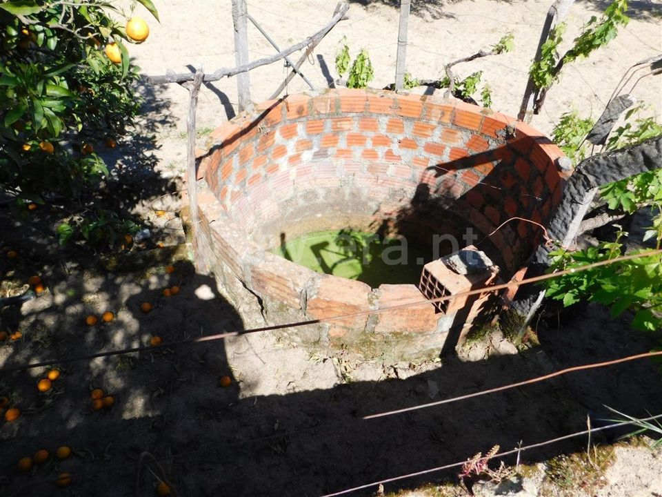Tomt i Fundao, Castelo Branco - bilde 3