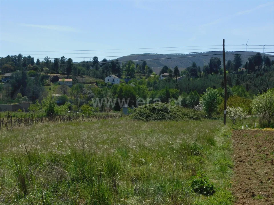 Tomt i Fundao, Castelo Branco - bilde 2