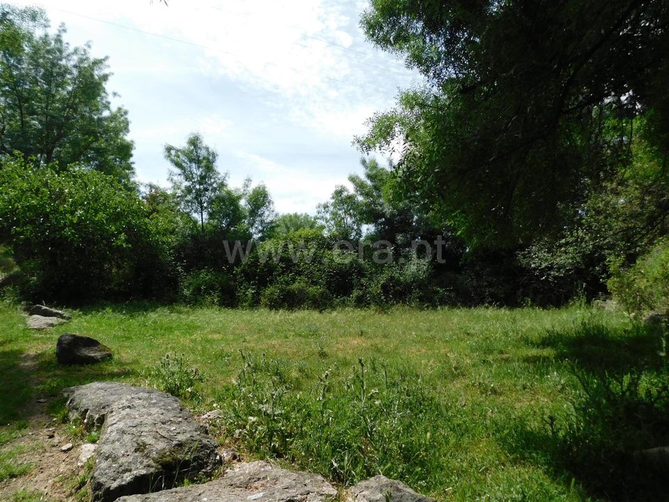 Tomt i Fundao, Castelo Branco - bilde 2